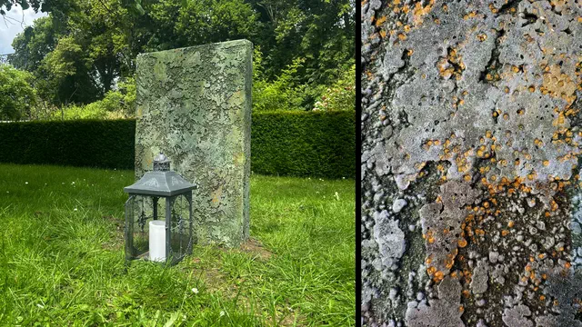 Bild Nr. 7 vom Projekt 'Die Verräter - Halloween Special'