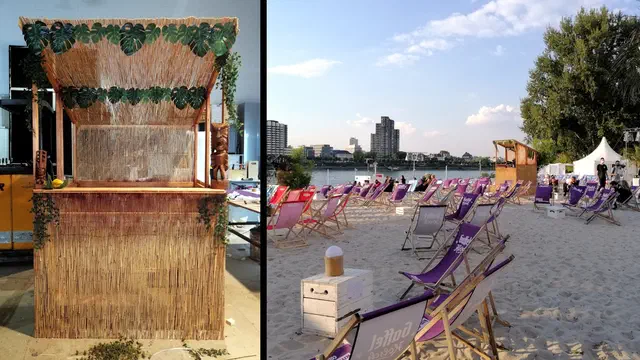 Bild Nr. 5 vom Projekt 'Hazel Brugger - Tropical'