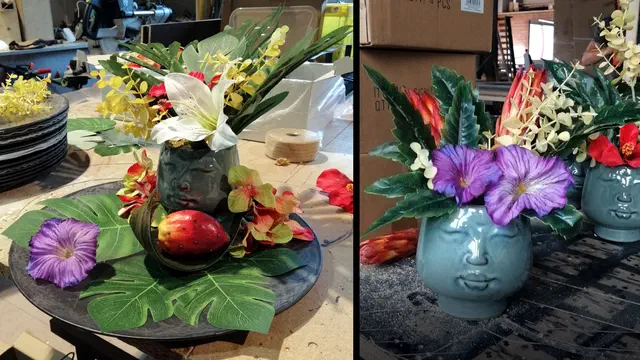 Bild Nr. 6 vom Projekt 'Hazel Brugger - Tropical'