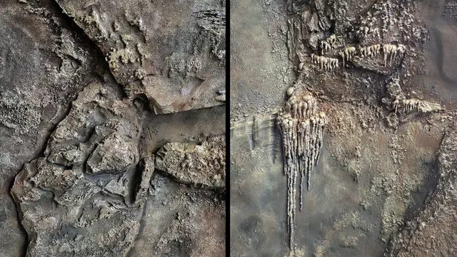 Bild Nr. 5 vom Projekt 'Höhlenwand - Denn Sie wissen nicht, was passiert'