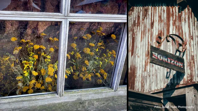 Bild Nr. 7 vom Projekt 'Horizon'