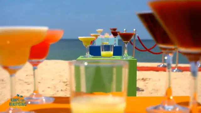 Kampf der Realitystars