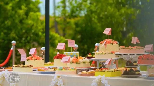 Bild Nr. 5 vom Projekt 'Kampf der Realitystars'