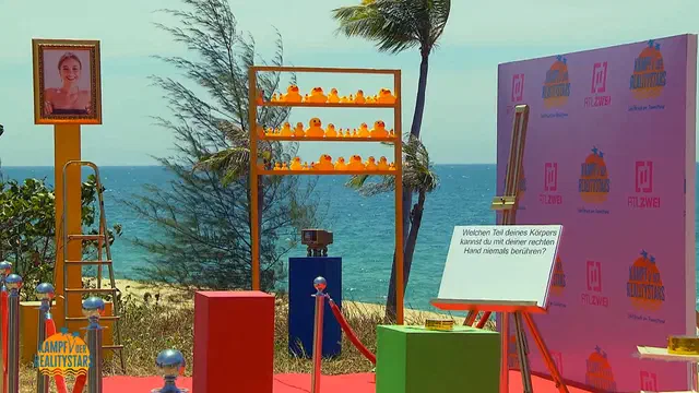 Bild Nr. 11 vom Projekt 'Kampf der Realitystars'