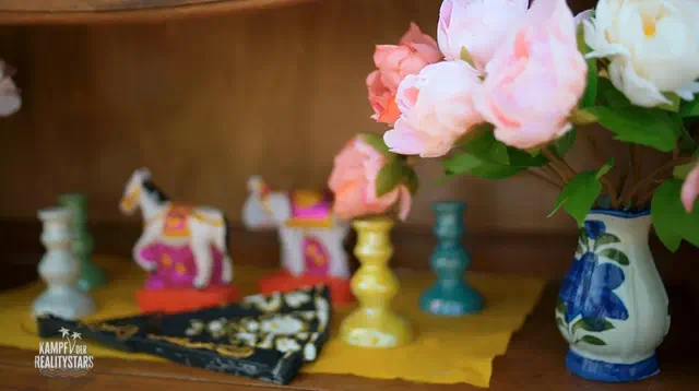 Bild Nr. 15 vom Projekt 'Kampf der Realitystars'