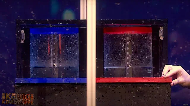 Bild Nr. 10 vom Projekt 'König der Kindsköpfe'