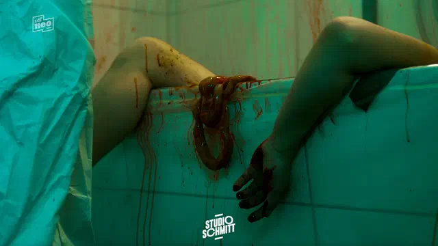 Bild Nr. 5 vom Projekt 'Studio Schmitt - Szenische Einspieler'