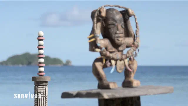 Bild Nr. 2 vom Projekt 'Survivor'