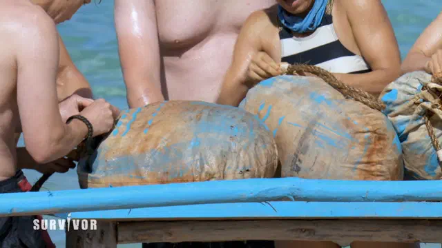 Bild Nr. 3 vom Projekt 'Survivor'