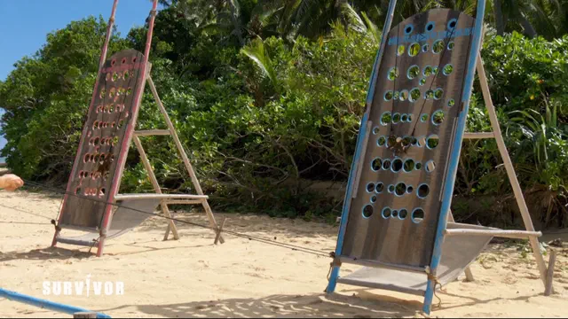 Bild Nr. 4 vom Projekt 'Survivor'