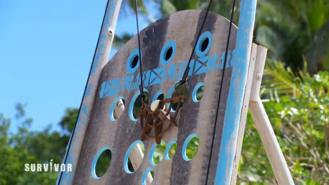 Bild Nr. 5 vom Projekt 'Survivor'