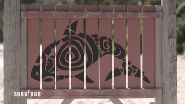 Bild Nr. 6 vom Projekt 'Survivor'