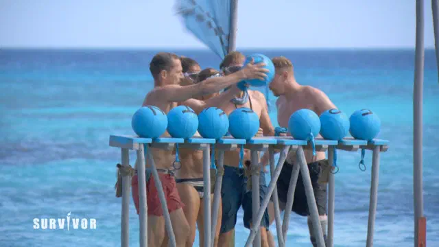 Bild Nr. 7 vom Projekt 'Survivor'