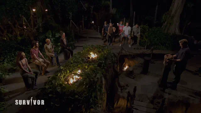 Bild Nr. 10 vom Projekt 'Survivor'