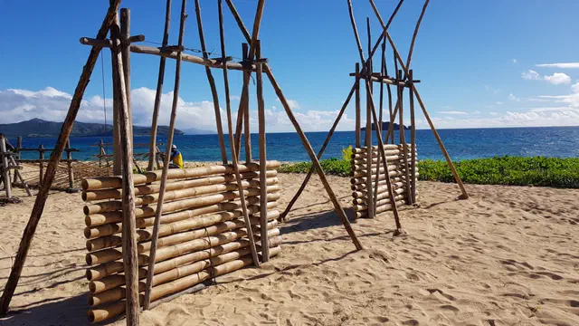 Bild Nr. 2 vom Projekt 'Survivor'