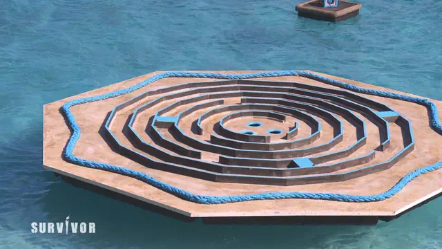 Bild Nr. 4 vom Projekt 'Survivor'