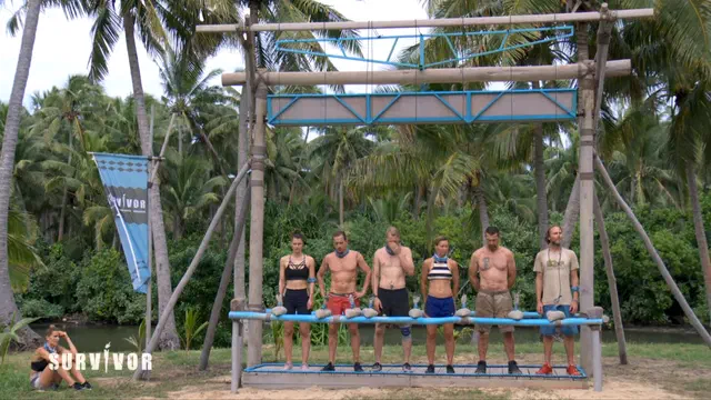 Bild Nr. 5 vom Projekt 'Survivor'