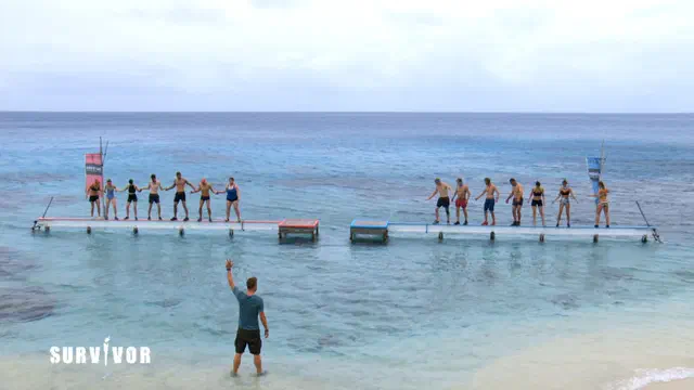 Bild Nr. 7 vom Projekt 'Survivor'