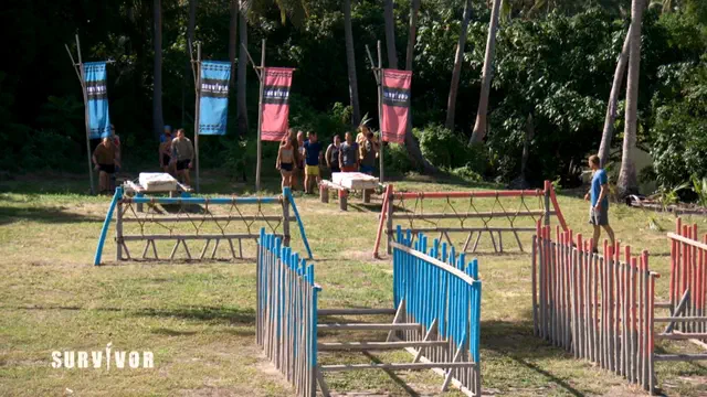 Bild Nr. 10 vom Projekt 'Survivor'