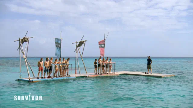 Bild Nr. 11 vom Projekt 'Survivor'