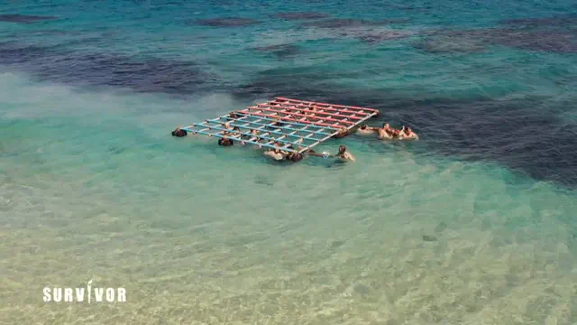 Bild Nr. 12 vom Projekt 'Survivor'