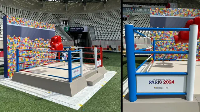 Bild Nr. 3 vom Projekt 'Team Looney Tunes - Olympia 2024'