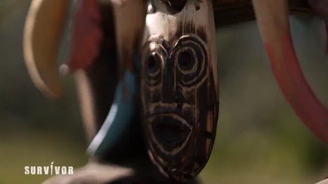 Bild Nr. 6 vom Projekt 'Totemfiguren & Schutzketten - Survivor'