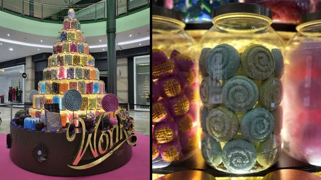 Bild Nr. 4 vom Projekt 'Wonka'